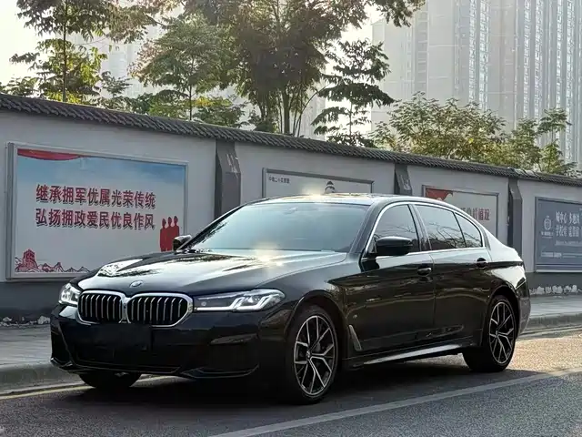 BMW 5 SERIES