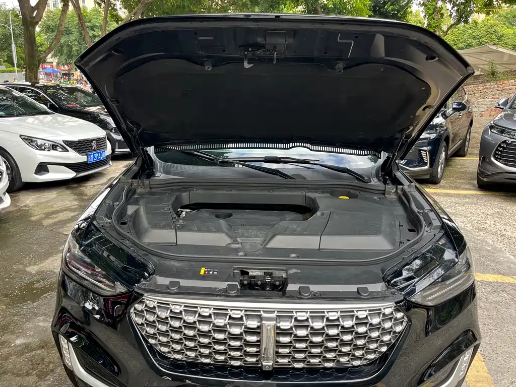 Wey Wey VV6 — миниатюра 15