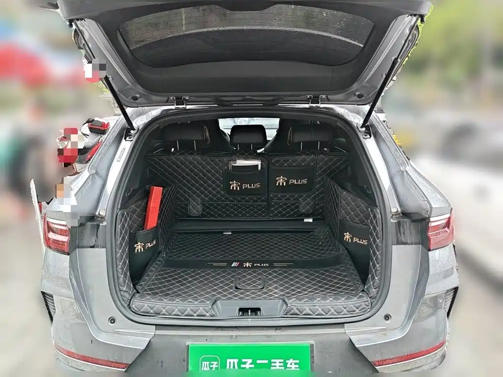 BYD PLUS — миниатюра 10