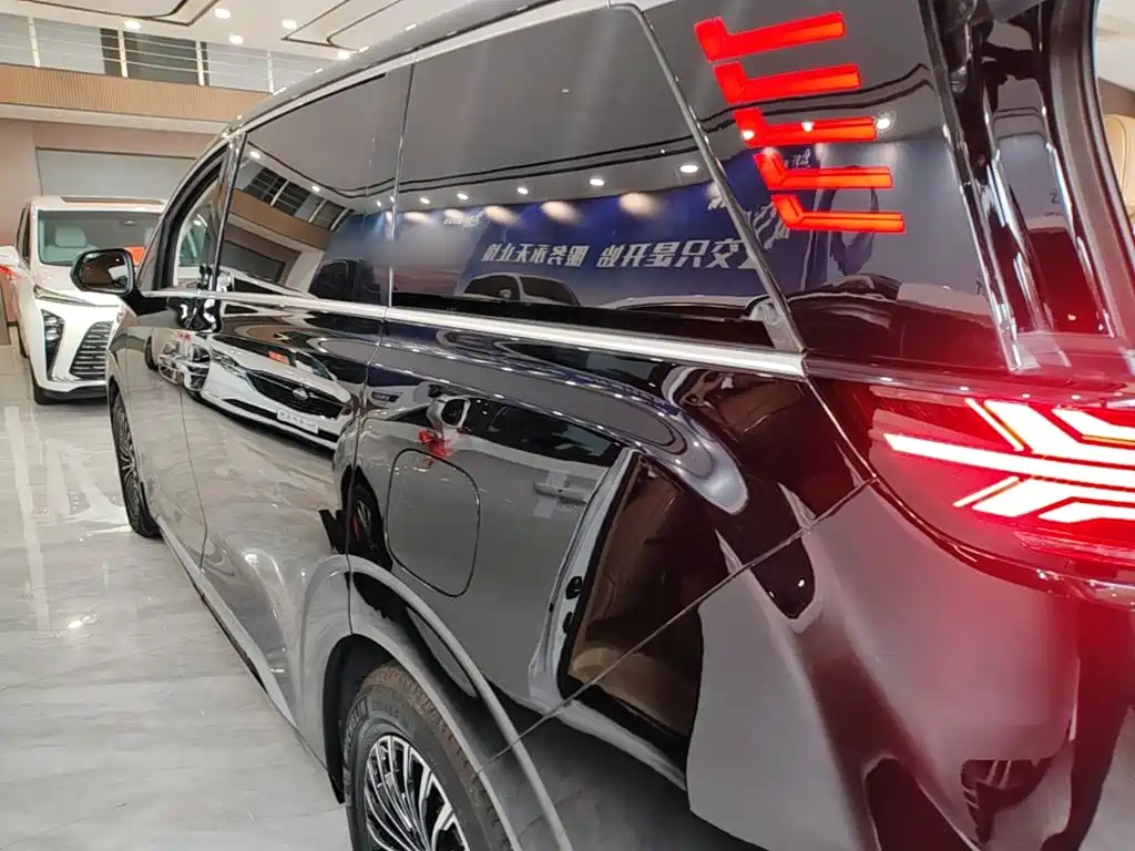 Denza Denza D9 — миниатюра 5