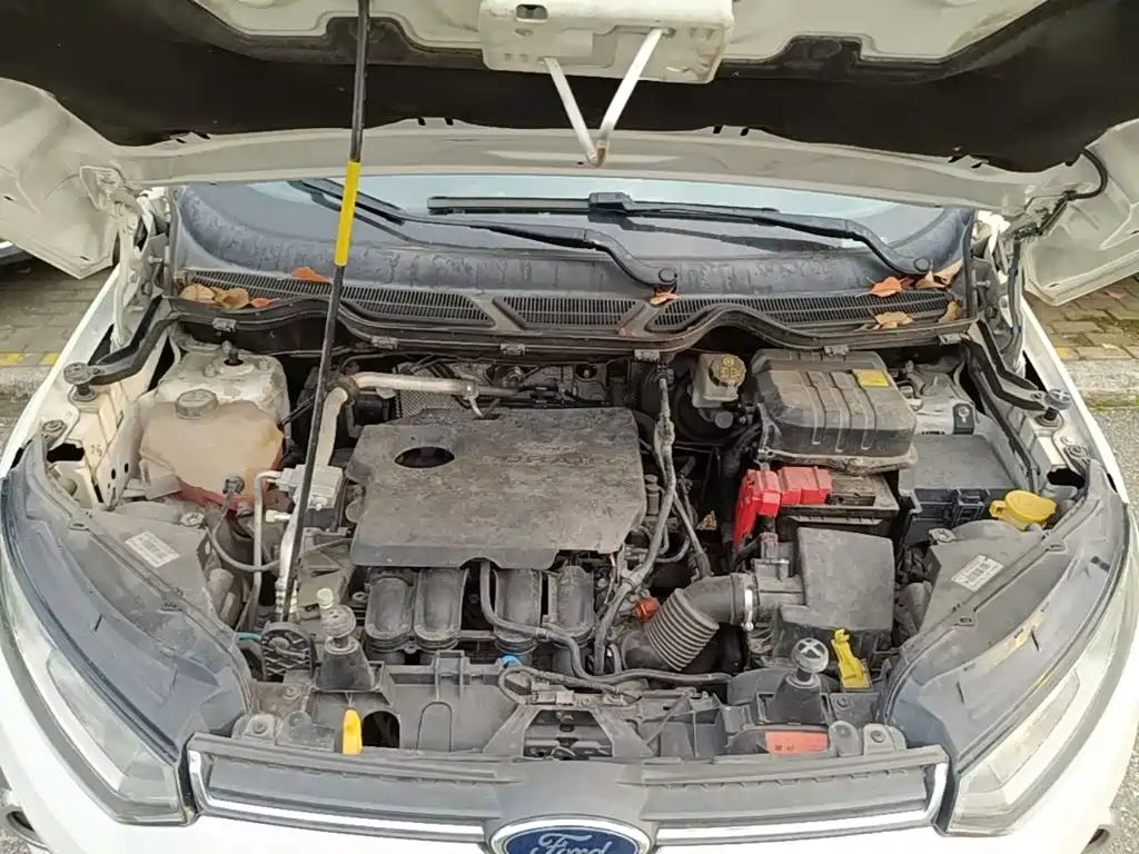 Ford Ecosport — миниатюра 20