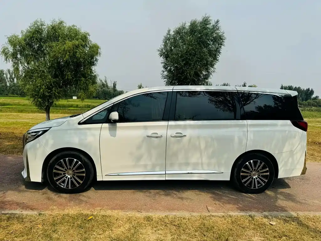 GAC Motor Trumpchi M8 — миниатюра 8
