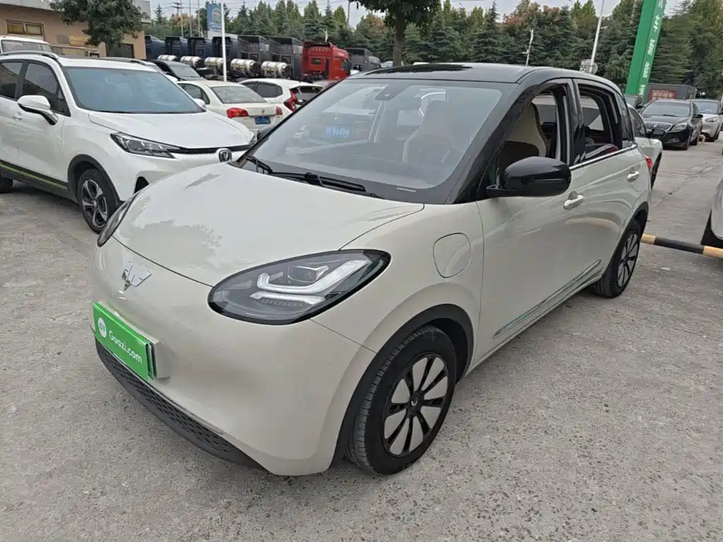 Wuling Bingo