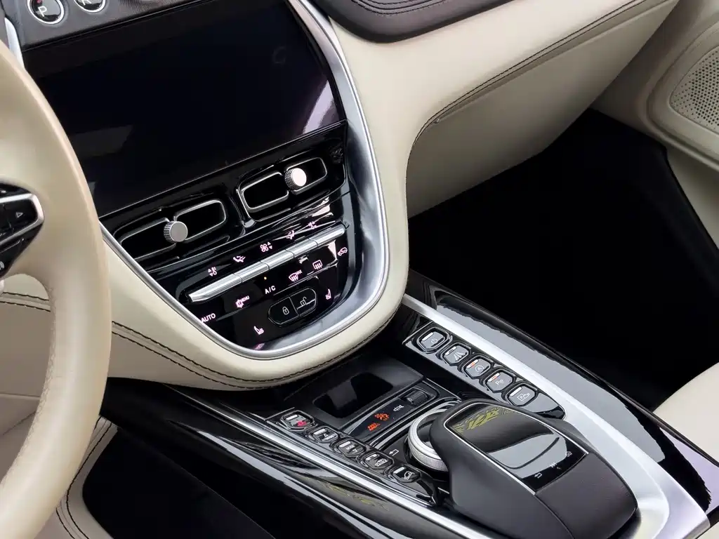 Aston Martin DBX — миниатюра 21