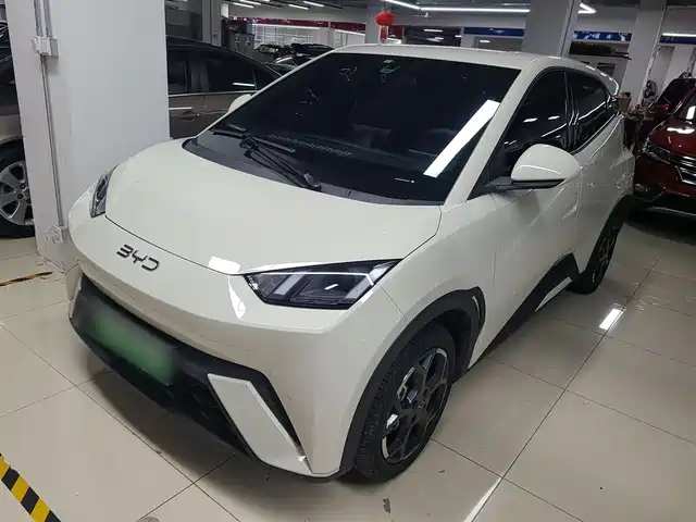 BYD SEAGULL 2024