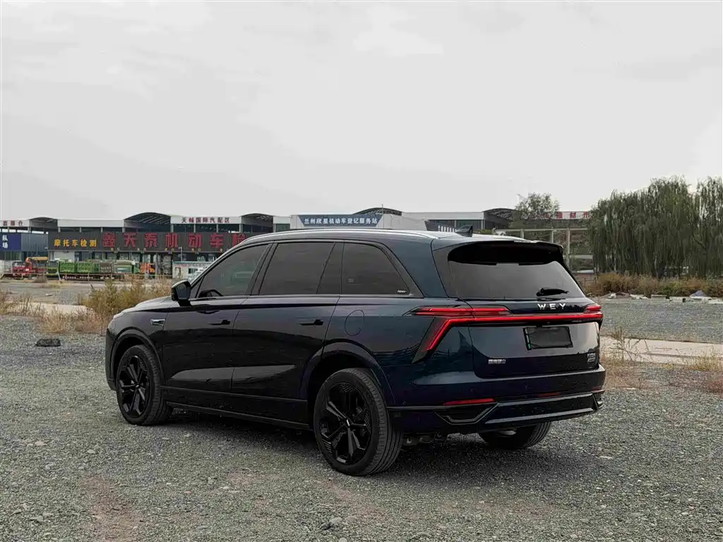 Wey Wey Lanshan — миниатюра 6