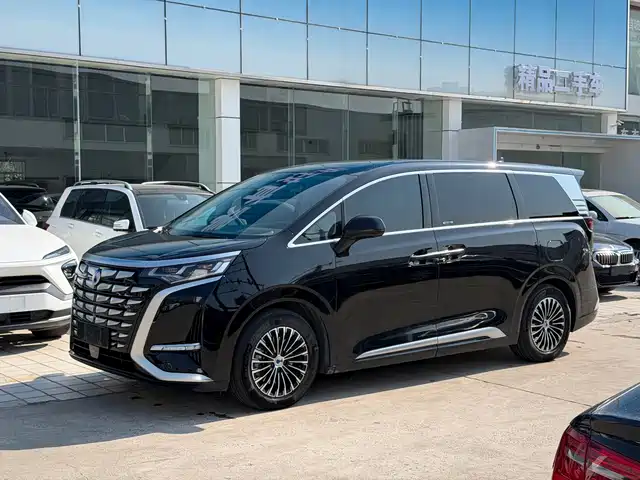 2022 Denza D9