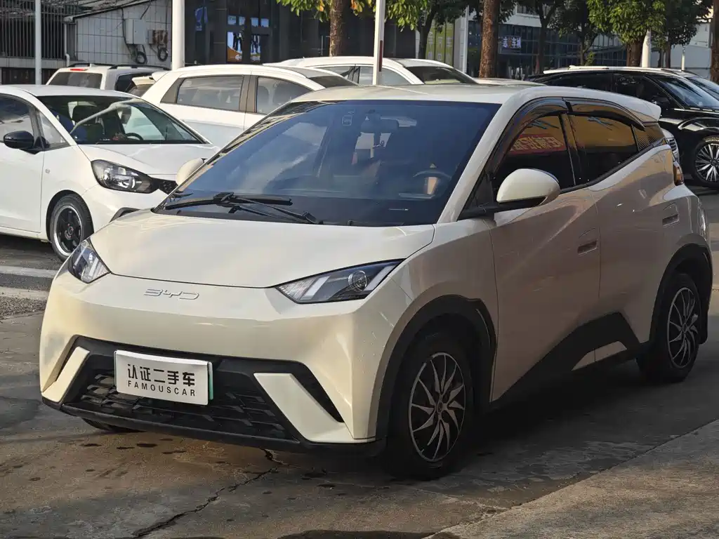BYD Seagull