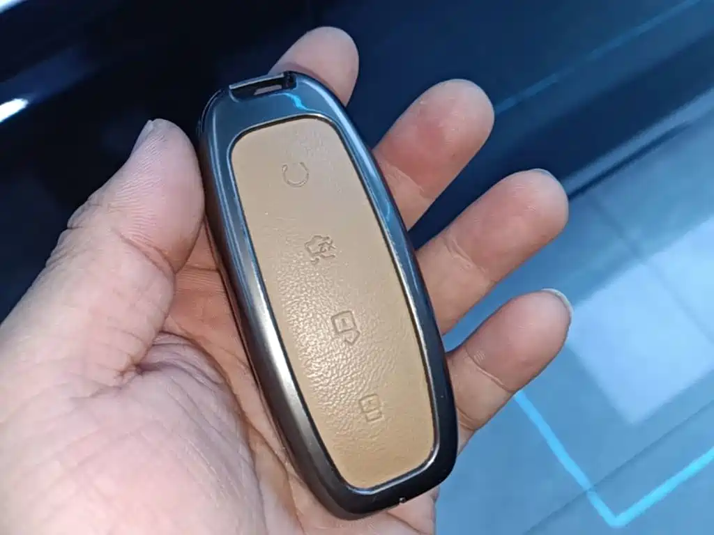 Denza Denza D9 — миниатюра 9