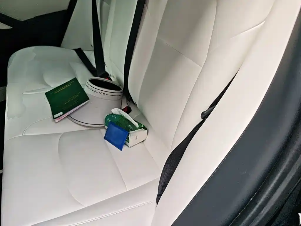 Tesla Model 3 — миниатюра 13