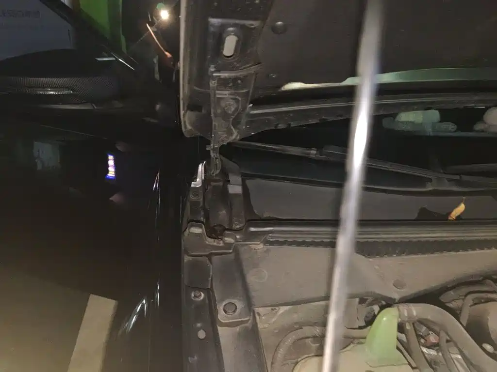 GAC Motor Shadow Leopard — миниатюра 23