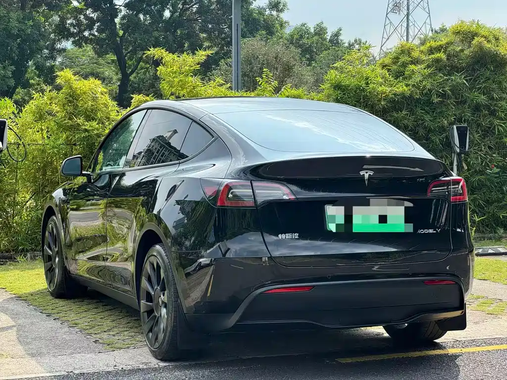 Tesla Model Y — миниатюра 11