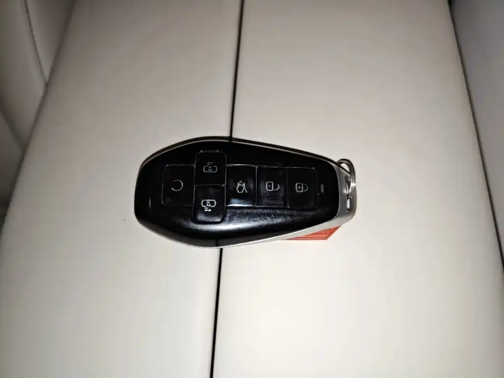 Denza Denza D9 — миниатюра 9