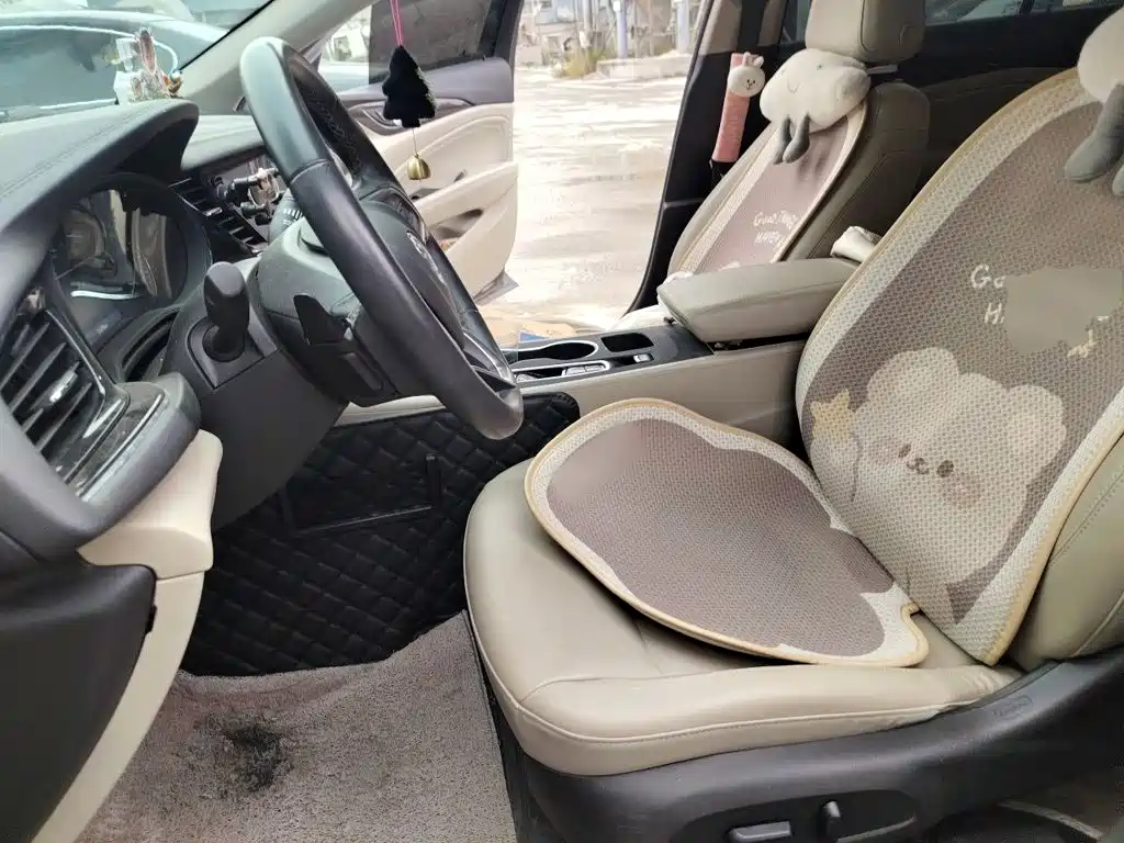 Buick Regal — миниатюра 11