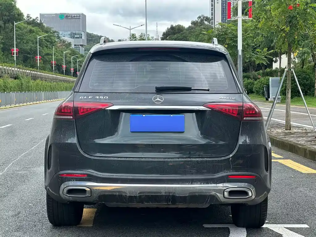 Mercedes-Benz 奔驰GLE(进口) — миниатюра 6