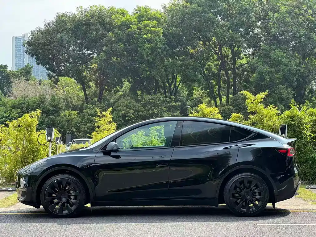 Tesla Model Y — миниатюра 4