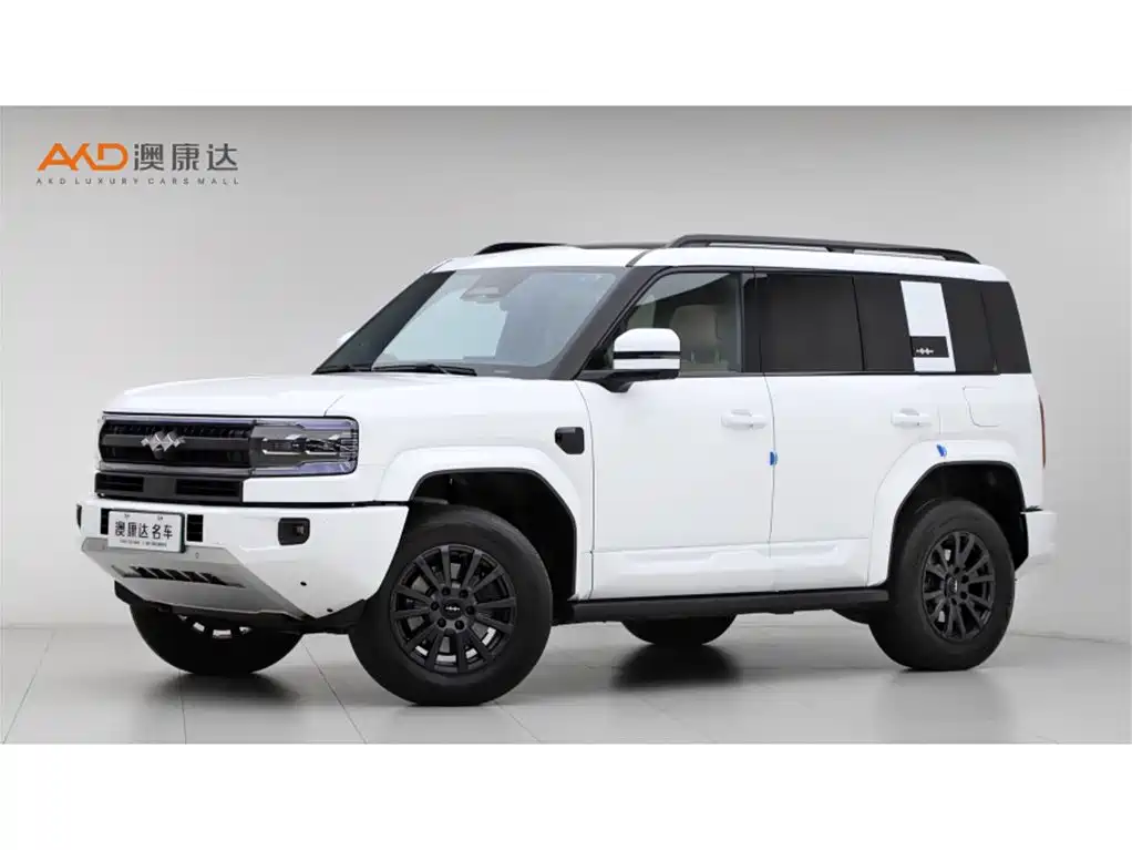 FANG CHENG BAO LEOPARD 5