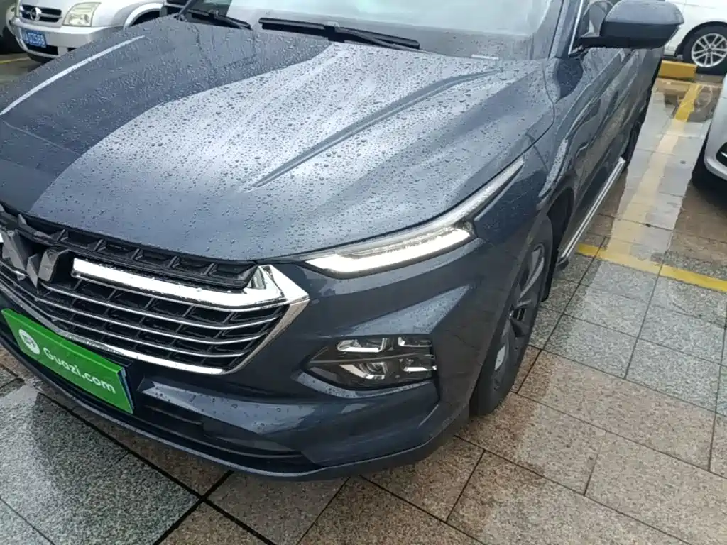 Wuling Victory — миниатюра 24