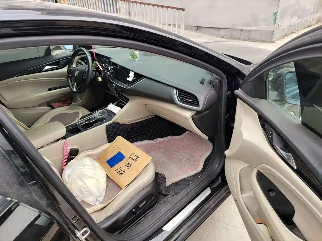 Buick Regal — миниатюра 19