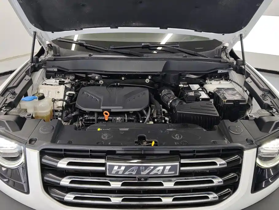 Haval Big Dog — миниатюра 10