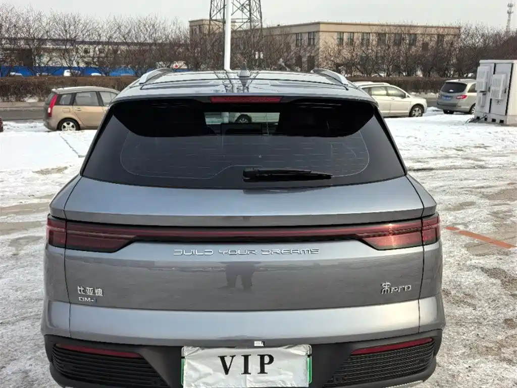 BYD SONGJIANG NEW ENERGY