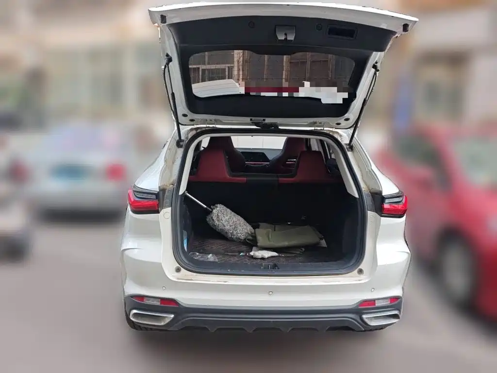 Oshan Oushang X5 — миниатюра 15