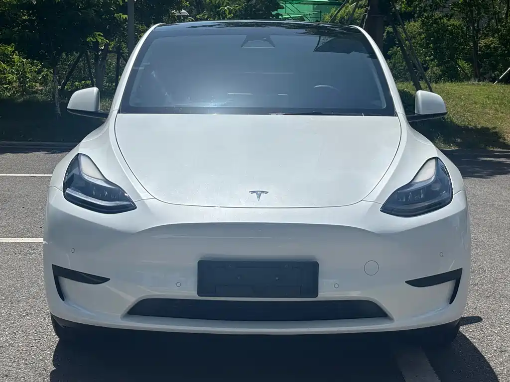 Tesla Model Y — миниатюра 2