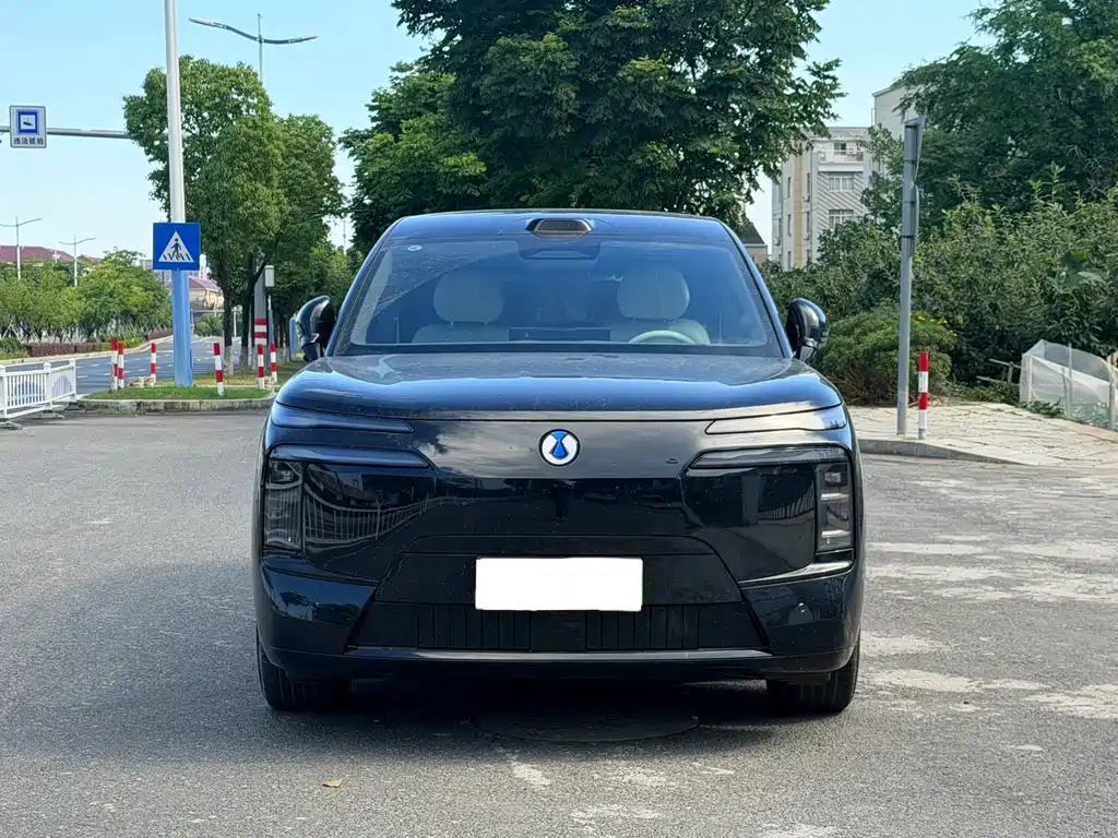 Denza Zoom N8L — миниатюра 2