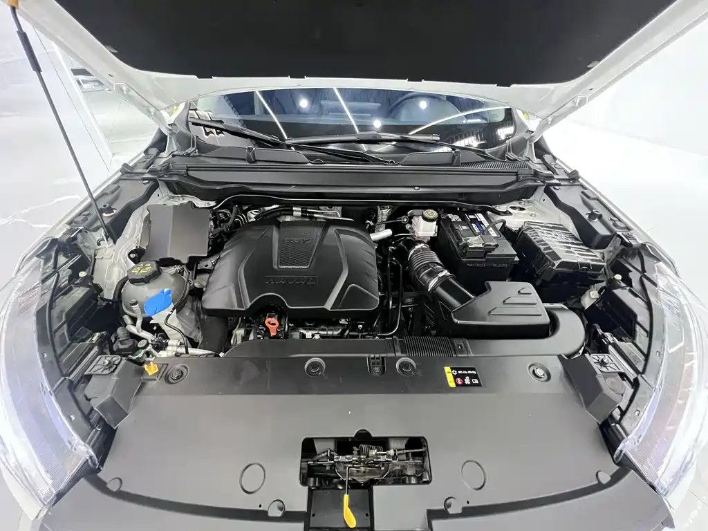Haval Chitu — миниатюра 21