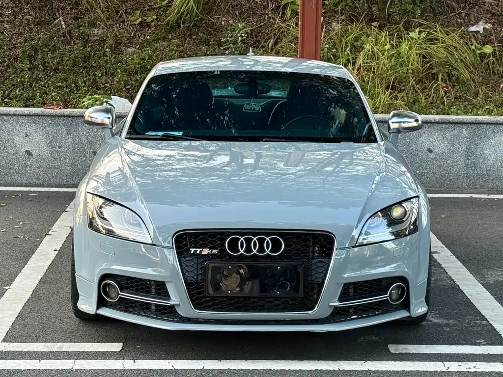 Audi TTS 2009