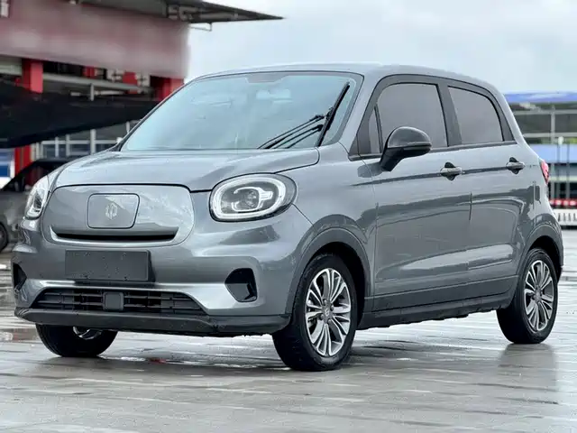 2021 Leapmotor T03