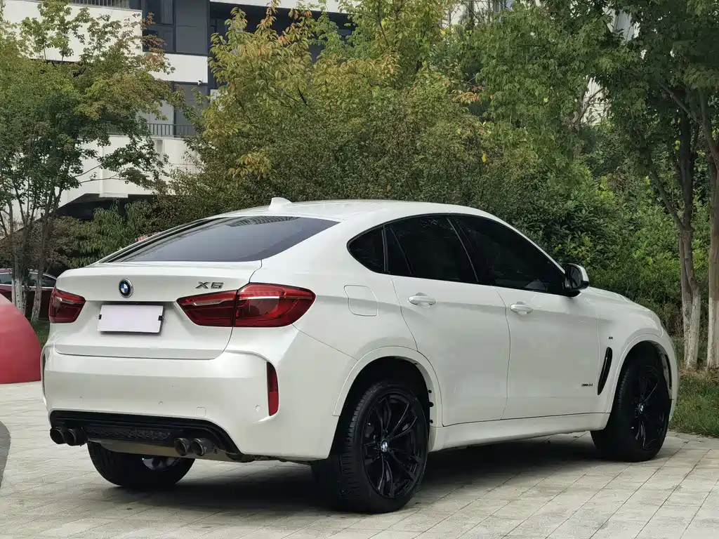 BMW X6 — миниатюра 8