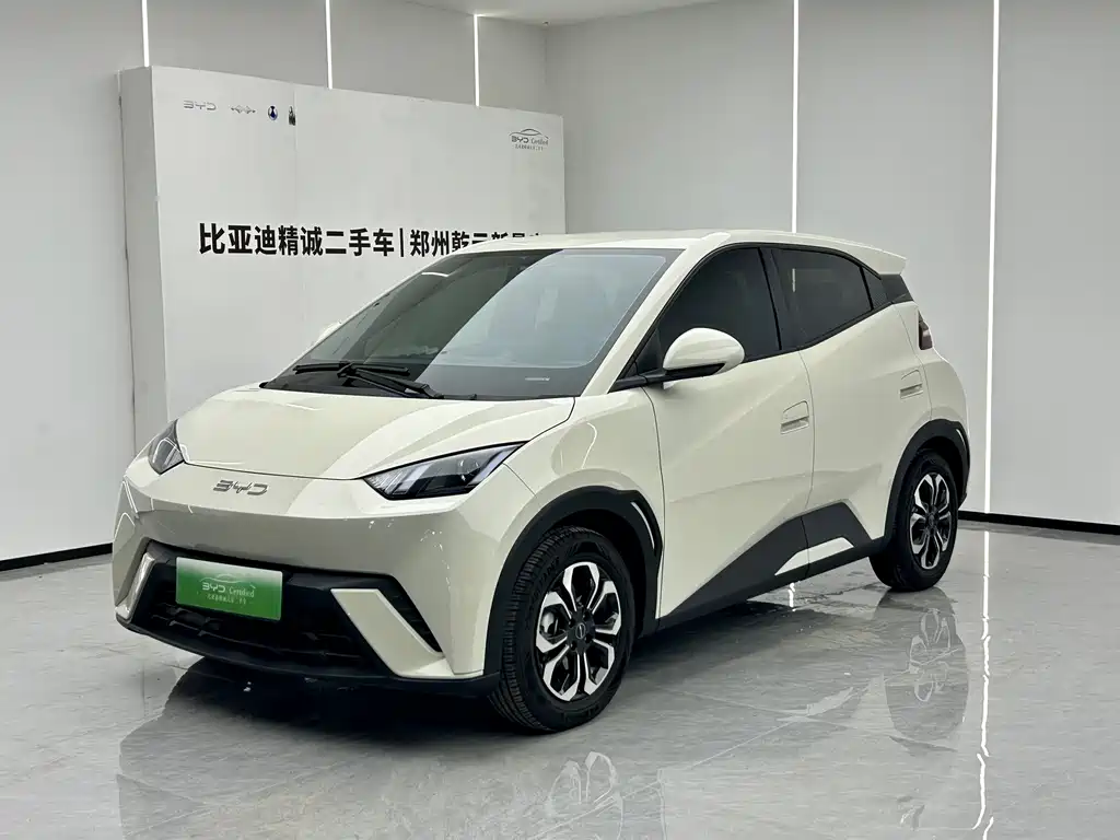 2024 BYD Seagull - zdjęcie 1 z 10