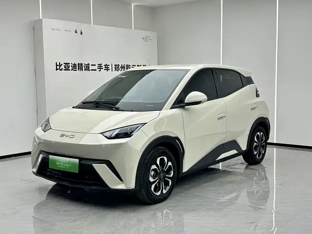 2024 BYD Seagull
