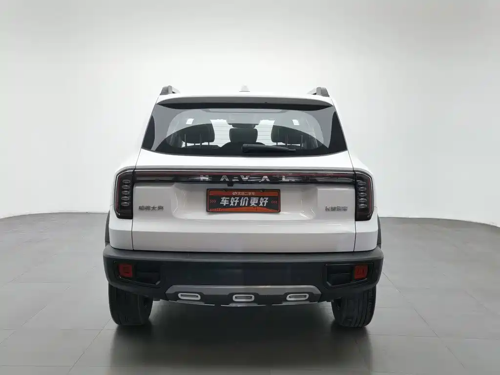 Haval Big Dog — миниатюра 4