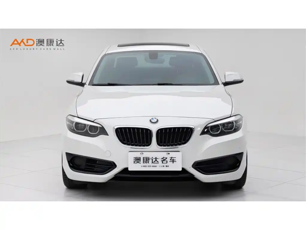 BMW 2 Series (Import) — миниатюра 2