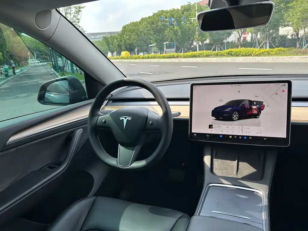 Tesla Model Y — миниатюра 7