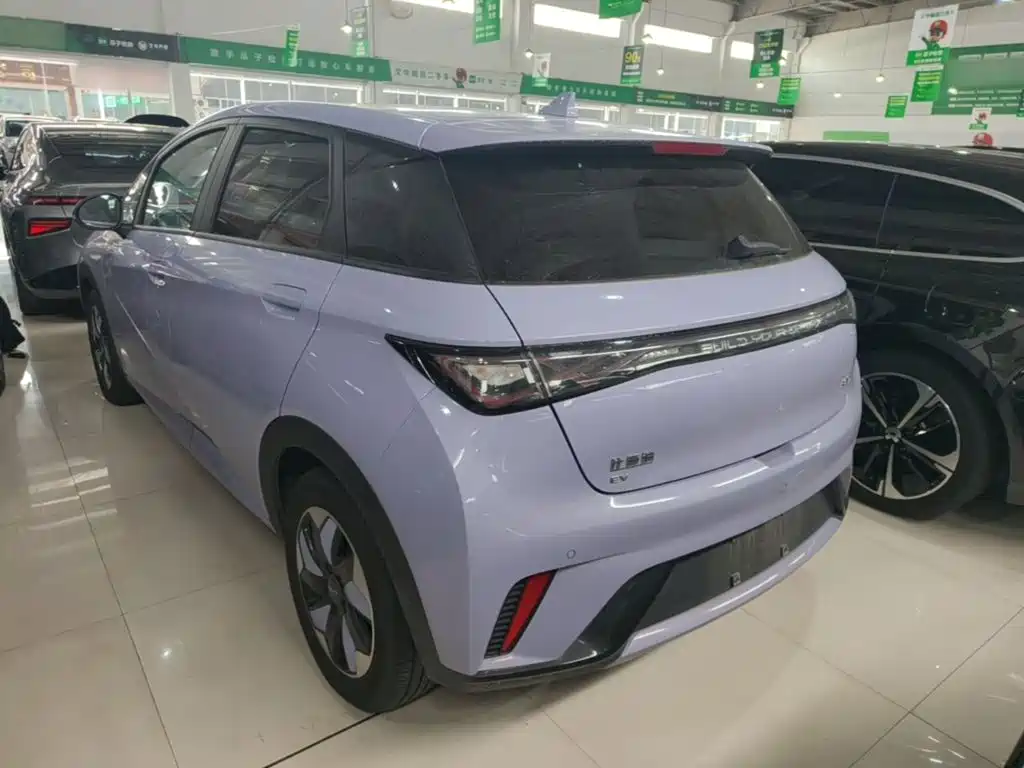 BYD Dolphin — миниатюра 5