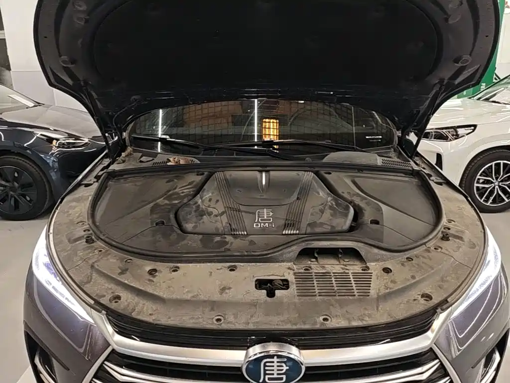 BYD Tang New Energy — миниатюра 20
