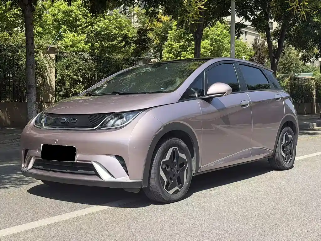 BYD Dolphin — миниатюра 3