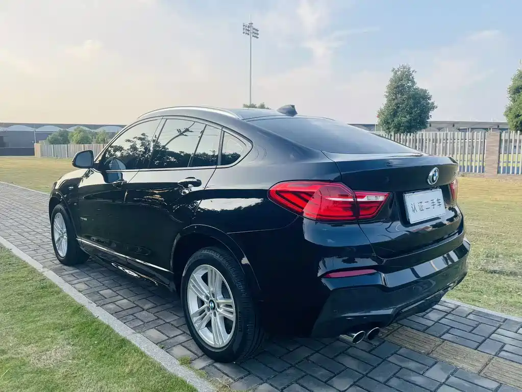BMW X4 — миниатюра 6