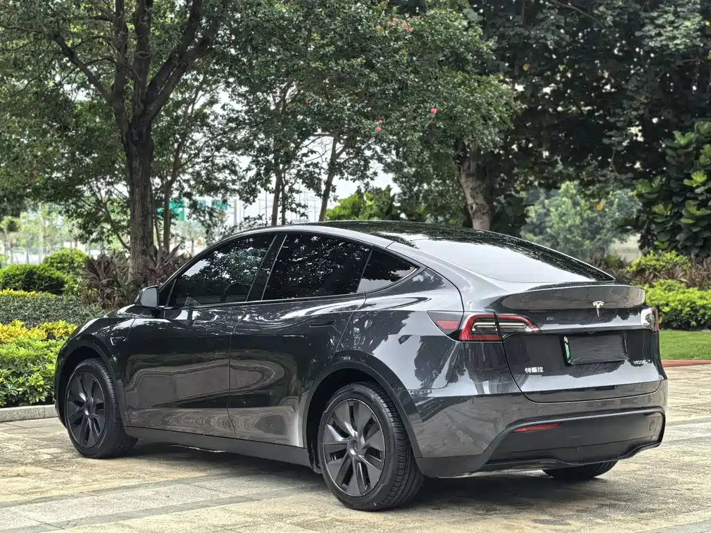 Tesla Model Y — миниатюра 8