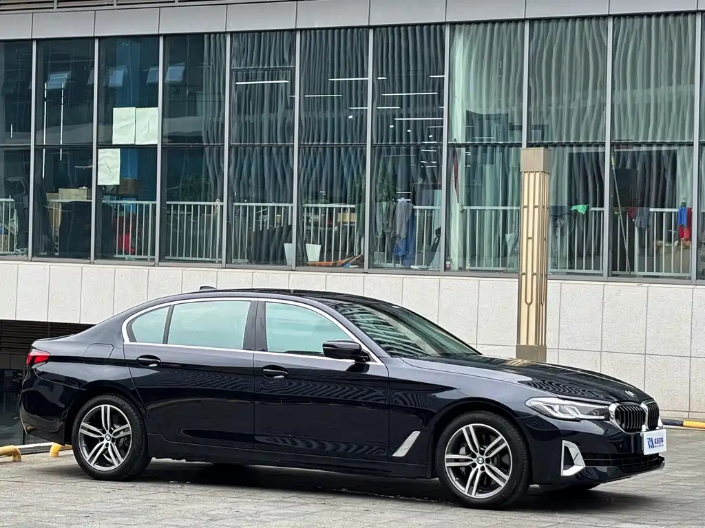 BMW 5 Series 5 2021 530Li Lead Luxury