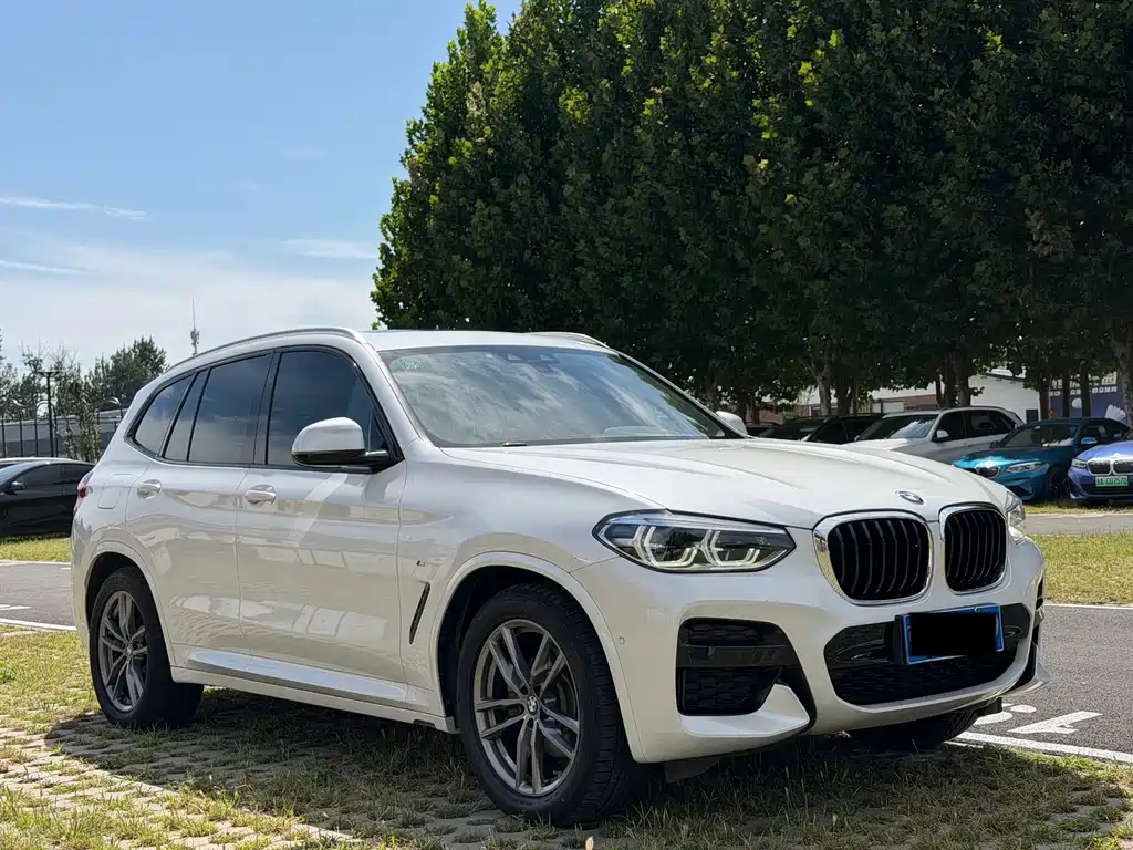 BMW X3 — миниатюра 3