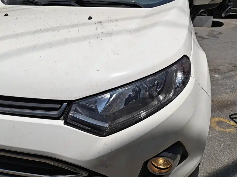 Ford Ecosport — миниатюра 5