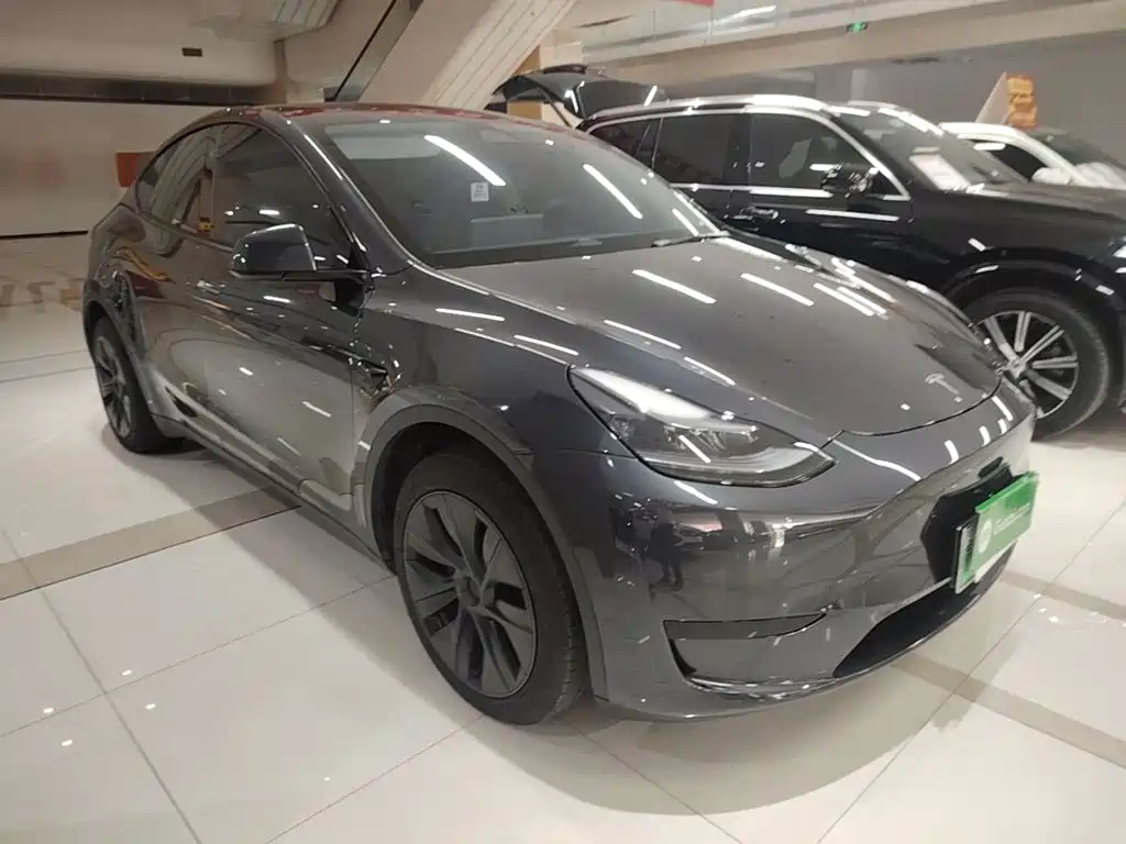 Tesla Model Y — миниатюра 4