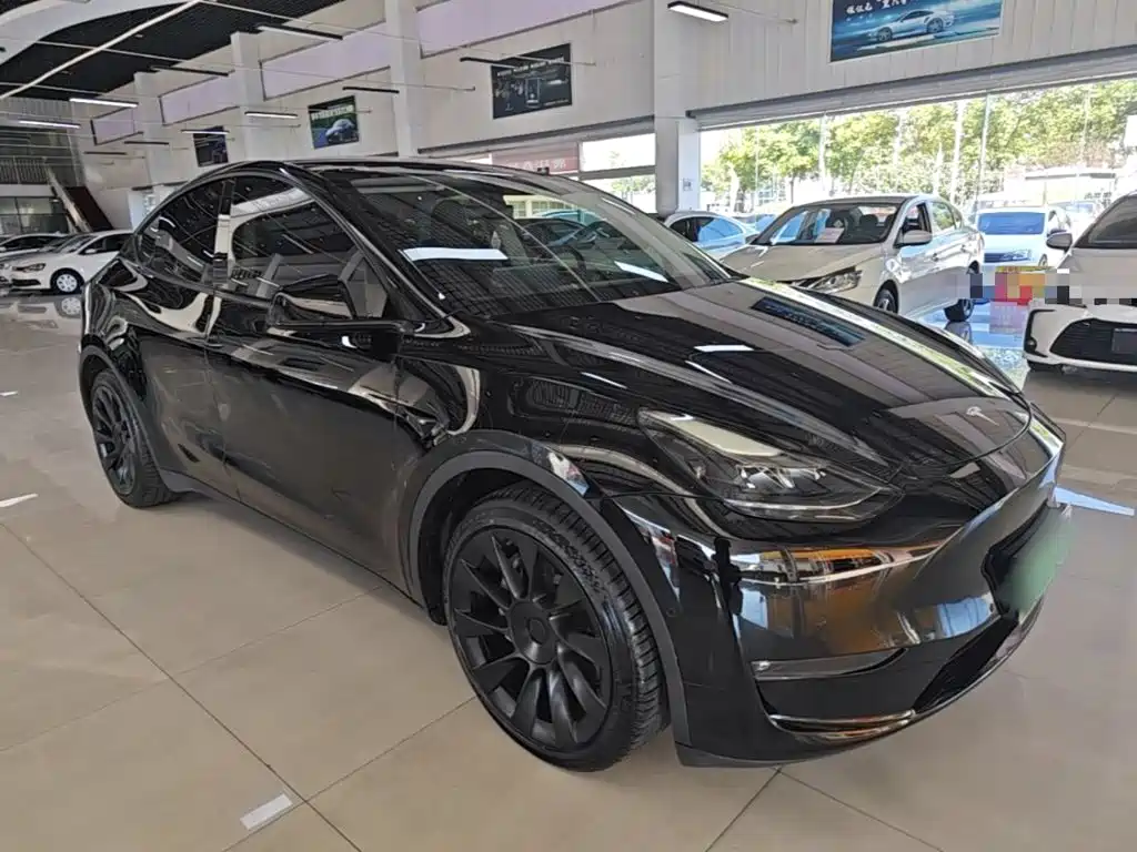 Tesla Model Y — миниатюра 4
