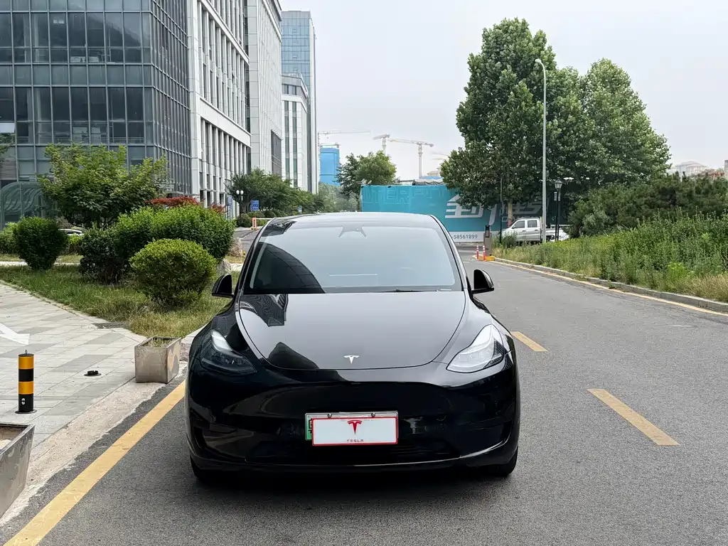 Tesla Model Y — миниатюра 2