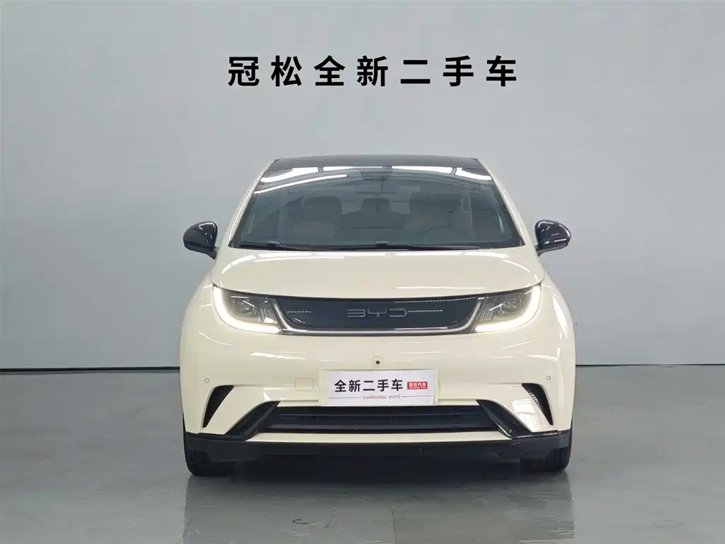 BYD Dolphin 2023 420km Fashion