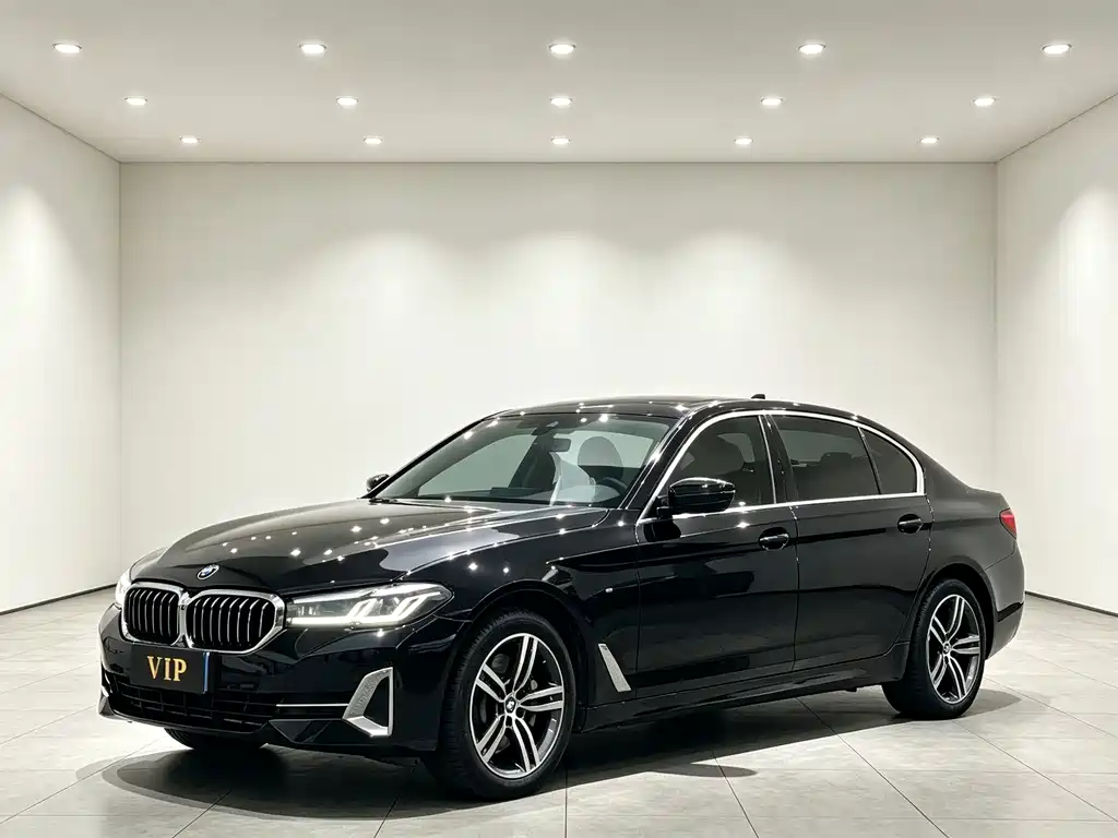 BMW 5 Series — миниатюра 3